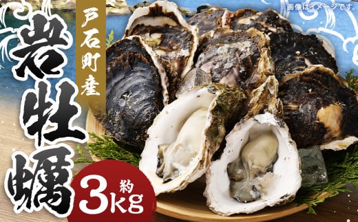戸石町産 岩牡蠣 計約3kg（生食用／カキナイフ付き）