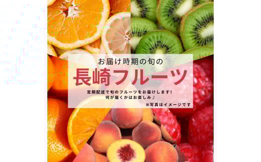 【年4回定期便(3月・6月・9月・12月配送)】お任せフルーツ！L(春)