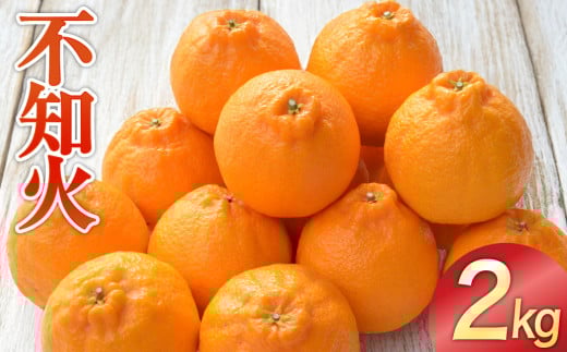 不知火（しらぬい）約2kg