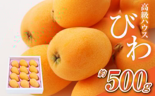 長崎 高級 ハウス びわ 化粧箱入り 500g 枇杷 ギフト 贈答用 果物 フルーツ くだもの 【2026年4月上旬から下旬発送予定】