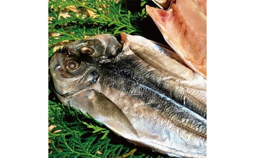 一夜干しざんまいセット