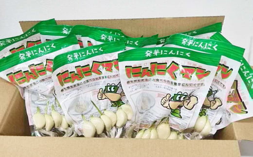 長崎県産水耕栽培 スプラウトにんにく にんにくマン 50g×10袋