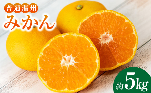 温州みかん 約5kg