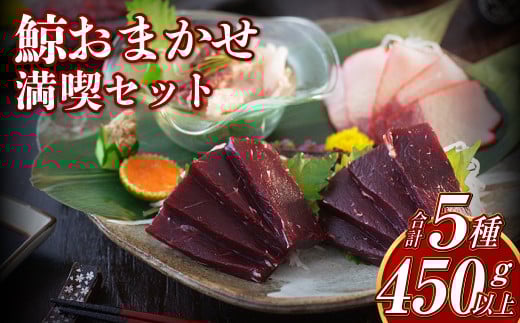鯨 おまかせ 満喫セット 5種類以上 約450g以上