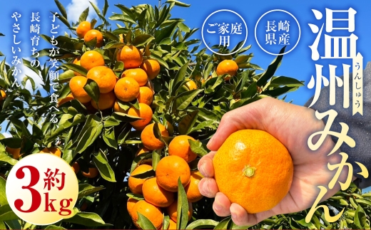 長崎県産温州みかん ご家庭用 約3kg