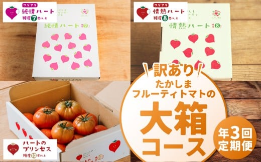 【訳あり】【年3回定期便 たかしまフルーティトマトの大箱コース