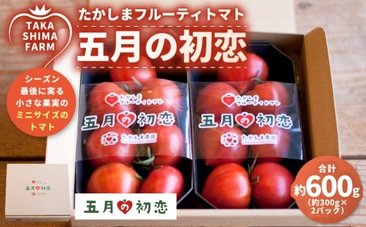 糖度9度以上 たかしまフルーティトマト 五月の初恋 約600g