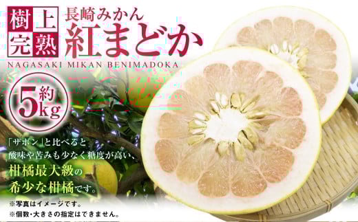 【樹上完熟】長崎みかん（紅まどか）約5kg