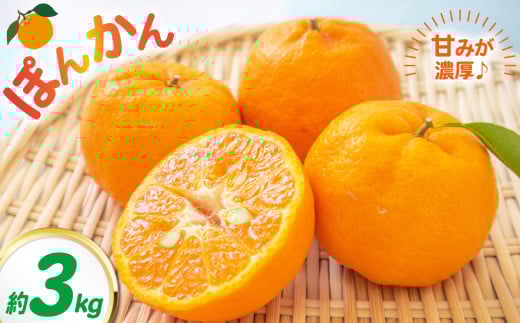ポンカン 約3kg