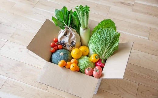 【全6回定期便】 農産物直売所おすすめ！ 旬野菜 セット
