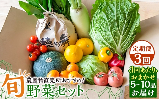 【全3回定期便】 旬野菜 セット 5～10品目