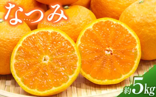 希少品種 なつみ 約5kg