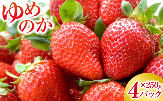 長崎産 ゆめのか イチゴ（250g×4パック）