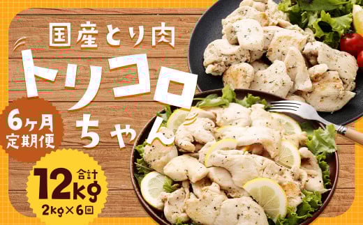 【全6回定期便】国産 鶏肉 トリコロちゃん 計2kg (500g×4パック)