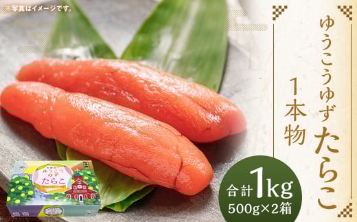 ゆうこうゆずたらこ1本物 500g×2箱 化粧箱入り