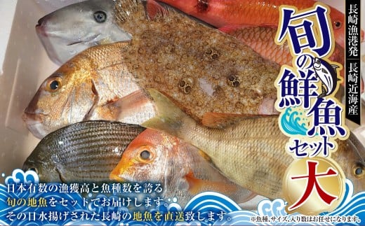 長崎漁港発！長崎近海産旬の鮮魚セット（大）