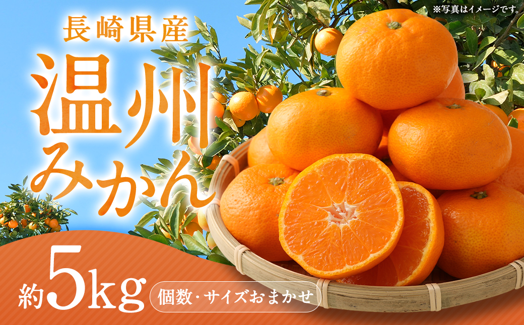 長崎県産 温州みかん 5kg (個数・サイズ おまかせ)