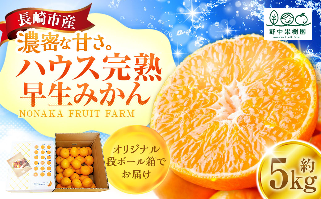 先行予約 ハウス完熟早生みかん 約5キロ箱