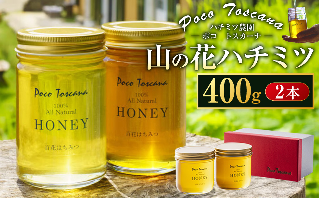 山の花 ハチミツ 400g瓶 × 2本 セット 合計800g