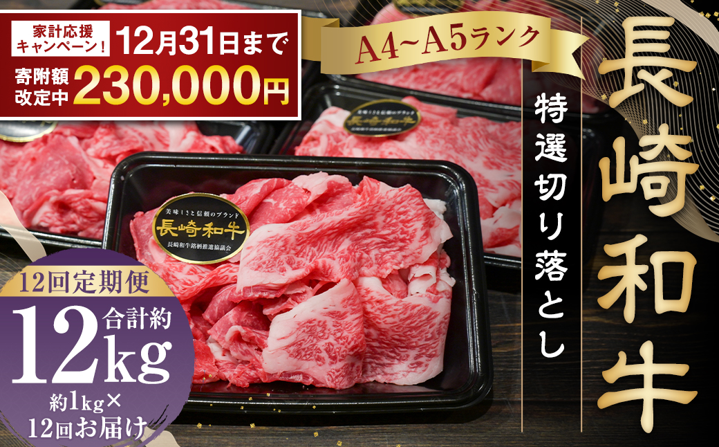 【全12回定期便】長崎和牛 特選 切り落とし 約1kg