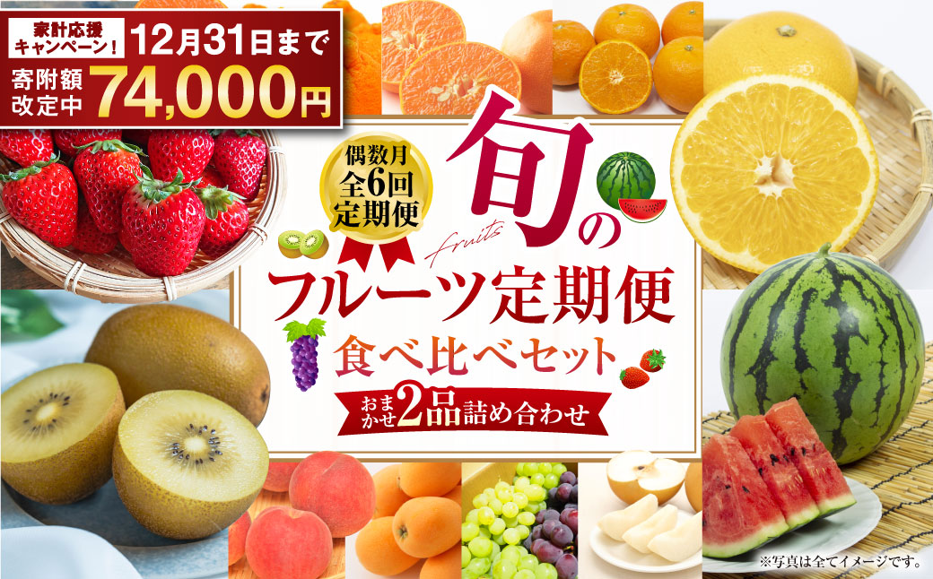年6回定期便 旬のフルーツ定期便 食べ比べセット