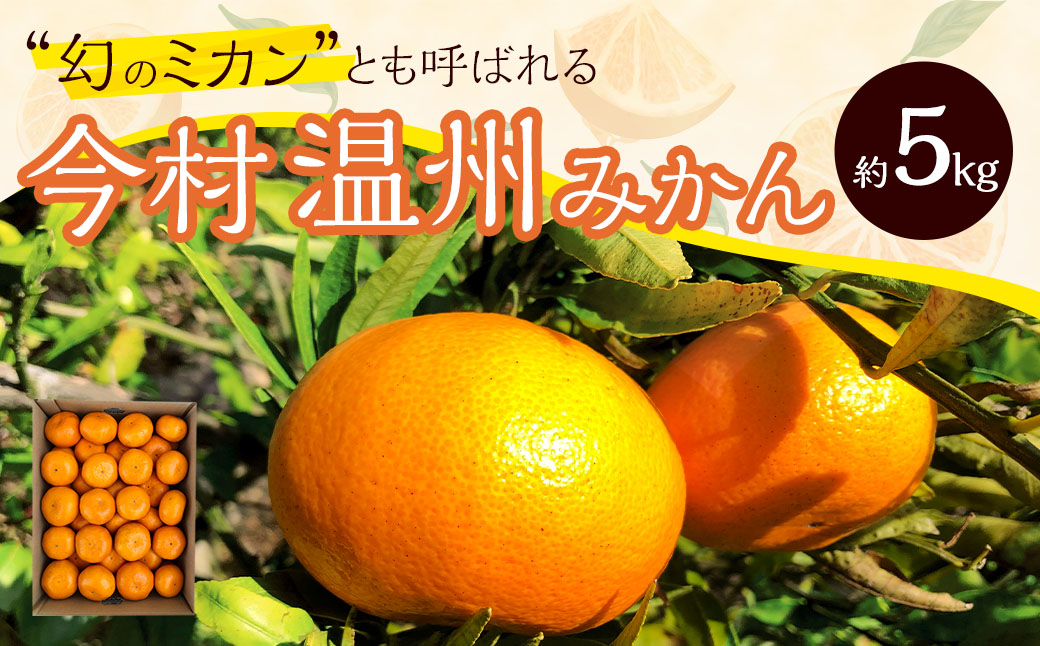 今村温州みかん 計約5kg