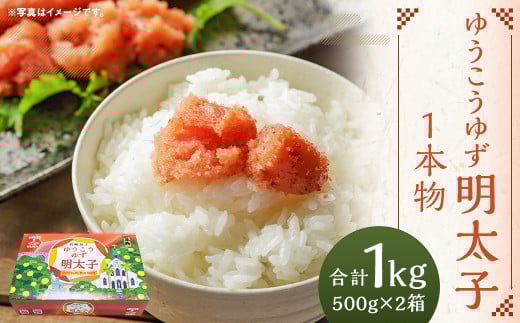 ゆうこうゆず明太子1本物 500g×2箱 化粧箱入り
