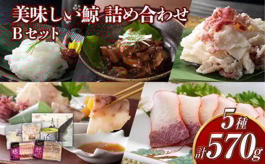 美味しい鯨5種詰め合わせBセット