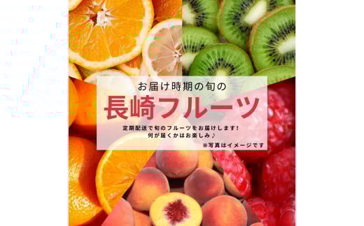 【年4回定期便(3月・6月・9月・12月配送)】お任せフルーツ！M
