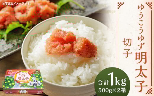 ゆうこうゆず明太子切子 500g×2箱 化粧箱入り