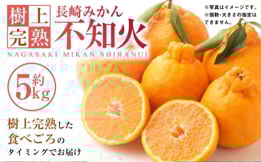 【樹上完熟】長崎みかん（ 不知火 ）約5kg