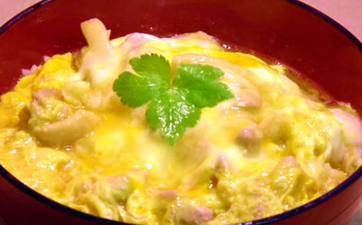 噂の親子丼の具 (計10個入り)