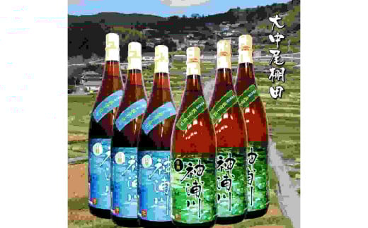 【25゜神浦川】白麹・黒麹芋1800ml 各3本 全6本