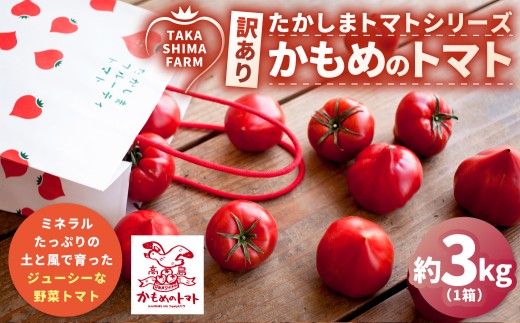 訳あり 糖度6度以上 かもめのトマト約3kg箱