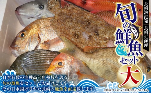 長崎漁港発！長崎近海産旬の鮮魚セット（大）