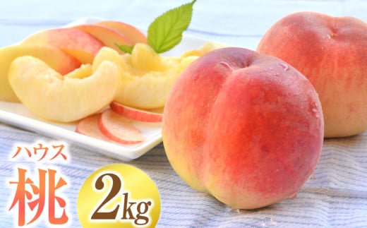 ハウスもも 約2kg（品種おまかせ）旬の桃