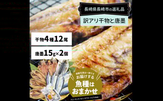 訳ありおまかせ干物 4種類 (12枚) とカラスミ詰め合わせ