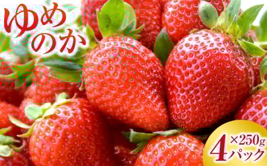 長崎産 ゆめのか イチゴ（250g×4パック）