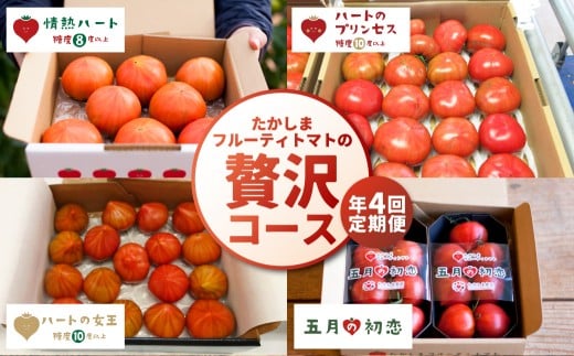 【年4回定期便】たかしまフルーティトマトの贅沢コース