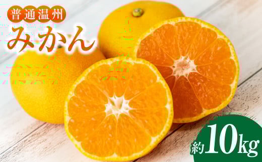 温州みかん 約10kg