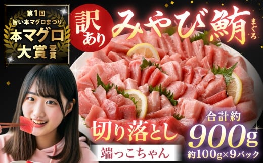 【訳あり】みやび鮪 切り落とし 端っこちゃん 計約900g（約100g×9） 9～10人前