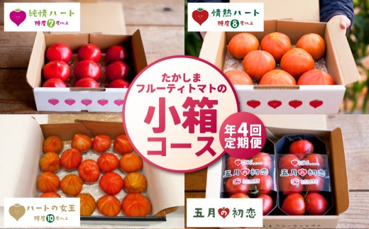 【年4回定期便】たかしまフルーティトマトの小箱コース