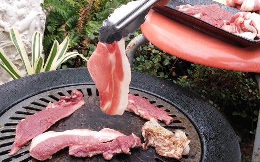 猪肉 切り落とし 200g×3