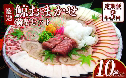 【年3回定期便】鯨おまかせ満喫セット(10種類以上)