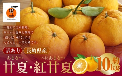 【訳あり】長崎県産 甘夏・紅甘夏みかん 約10kg