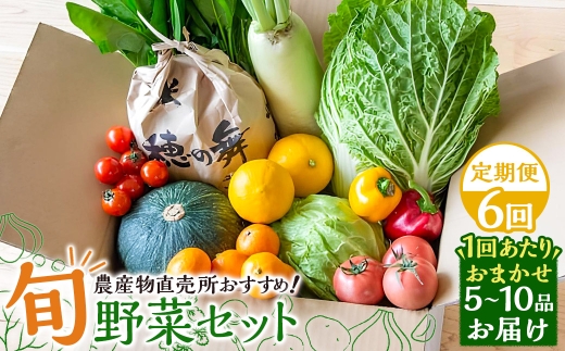 【全6回定期便】旬野菜 セット 5～10品目