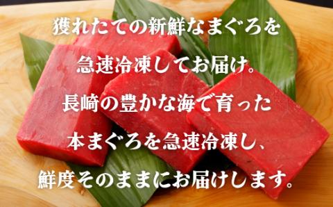 [A206p］長崎県産本まぐろ赤身(養殖)
