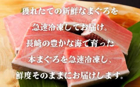 [A207p］特選長崎県産本まぐろトロセット(養殖)