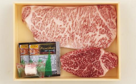 [B170p］長崎和牛サーロイン･ヒレステーキ(各1枚)