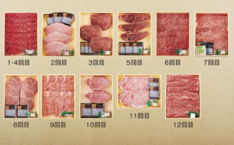 [B158p］《定期便》長崎和牛おまかせお届け便(12回)